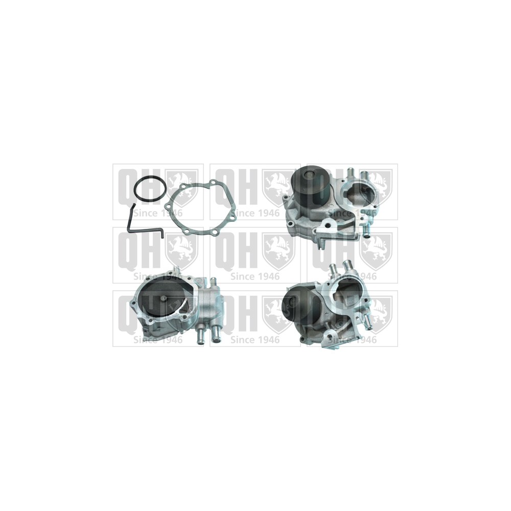 Image for QH QCP3181 Water Pump