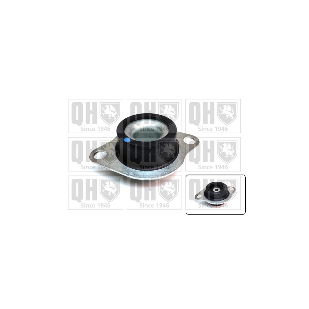 Image for QH EM4703 Engine Mounting