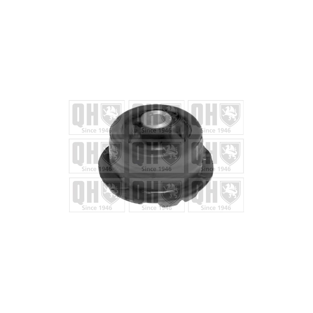 Image for QH EMS8294 Subframe Bush - Rear