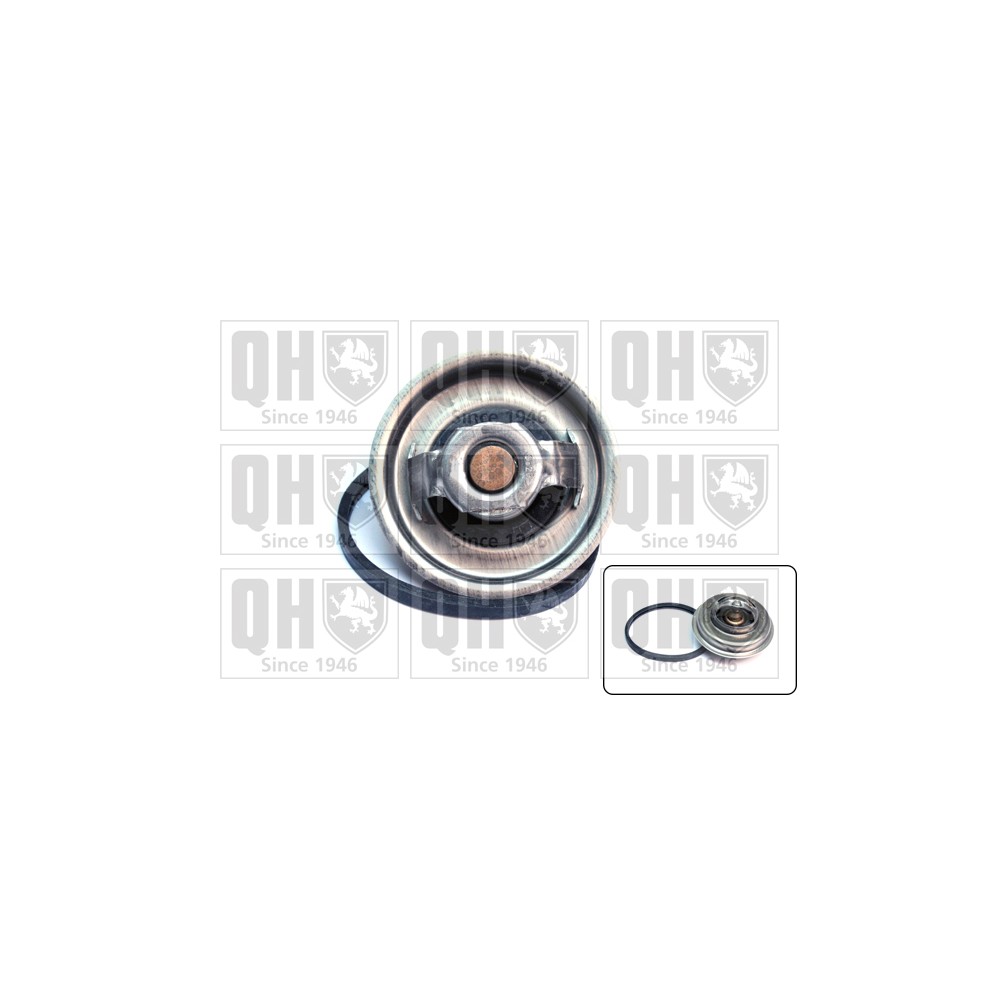 Image for QH QTH375K Thermostat Kit