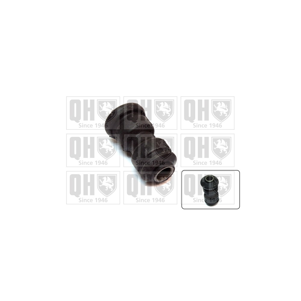 Image for QH EMS8337 Suspension Arm Bush - Rear LH & RH