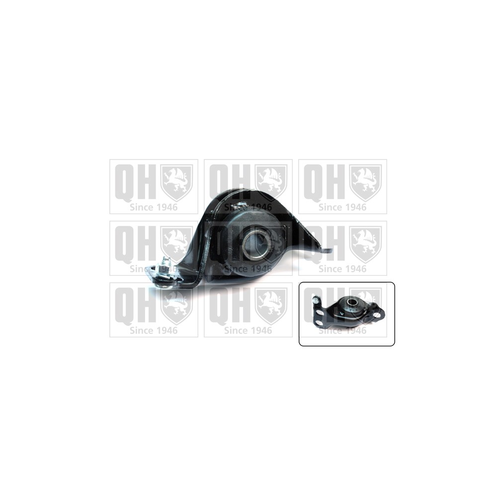 Image for QH EMS8275 Suspension Arm Bush - Front Lower LH (Rear)