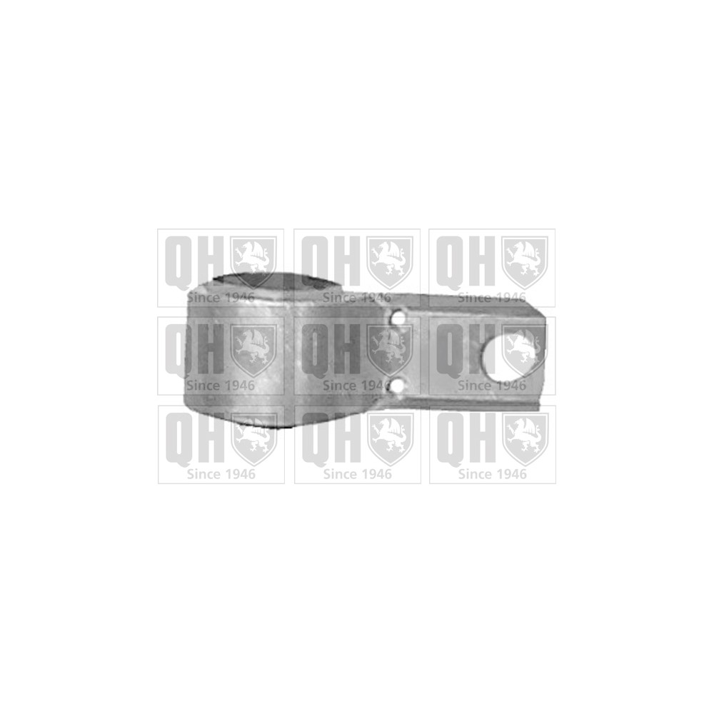 Image for QH EMS8203 Suspension Arm Bush - Front Lower LH (Rear)