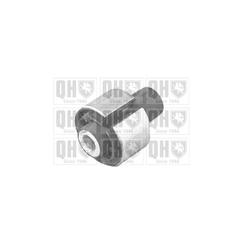 Image for QH EMS8218 Suspension Arm Bush - Rear