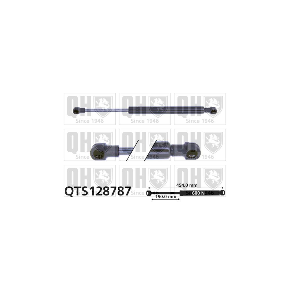 Image for QH QTS128787 Gas Spring