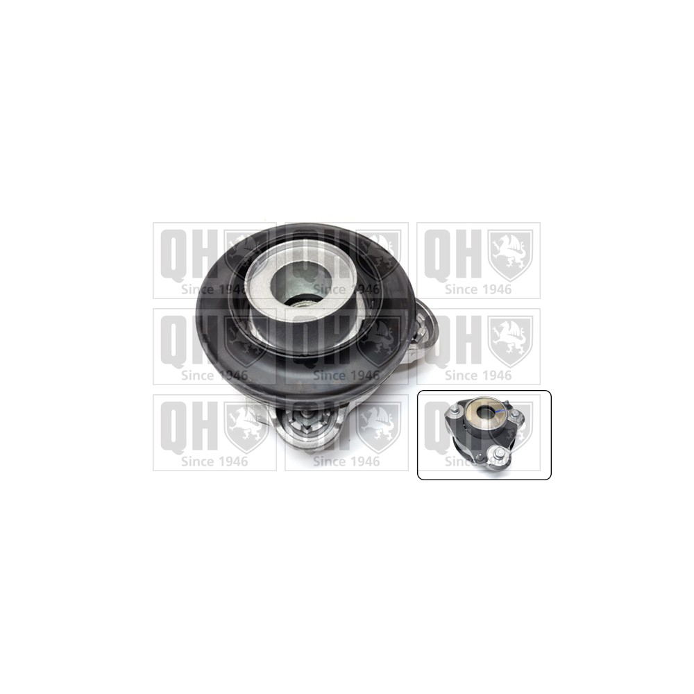 Image for QH EMA4925 Top Strut Mounting- inc Bearing