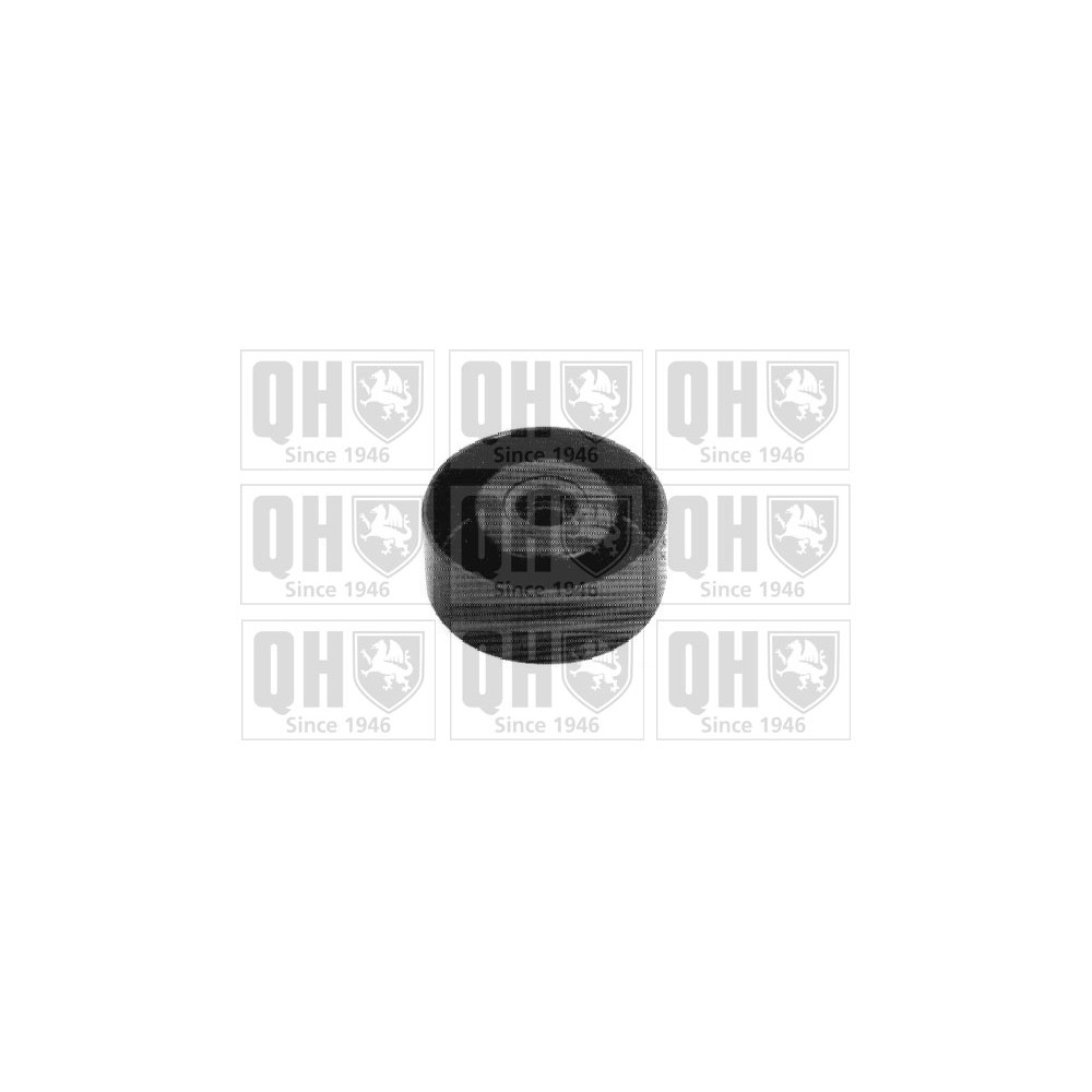 Image for QH QTA1171 Drive Belt Tensioner