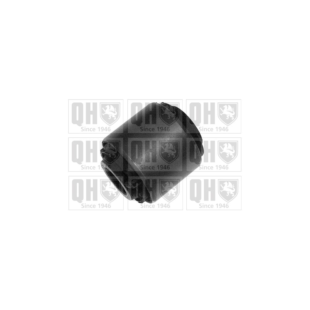 Image for QH EMS3032 Suspension Arm Bush - Front Lower LH & RH (Rear)