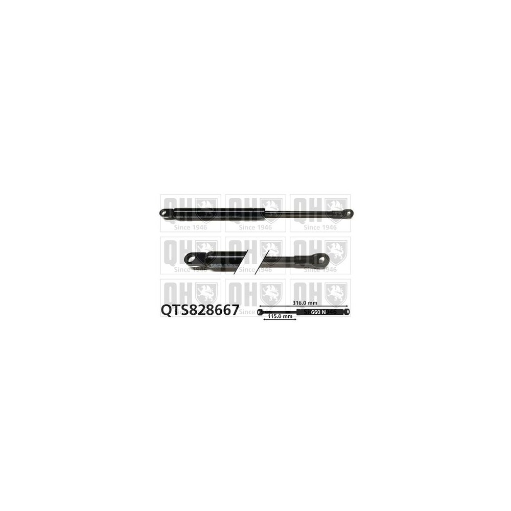 Image for QH QTS828667 Gas Spring