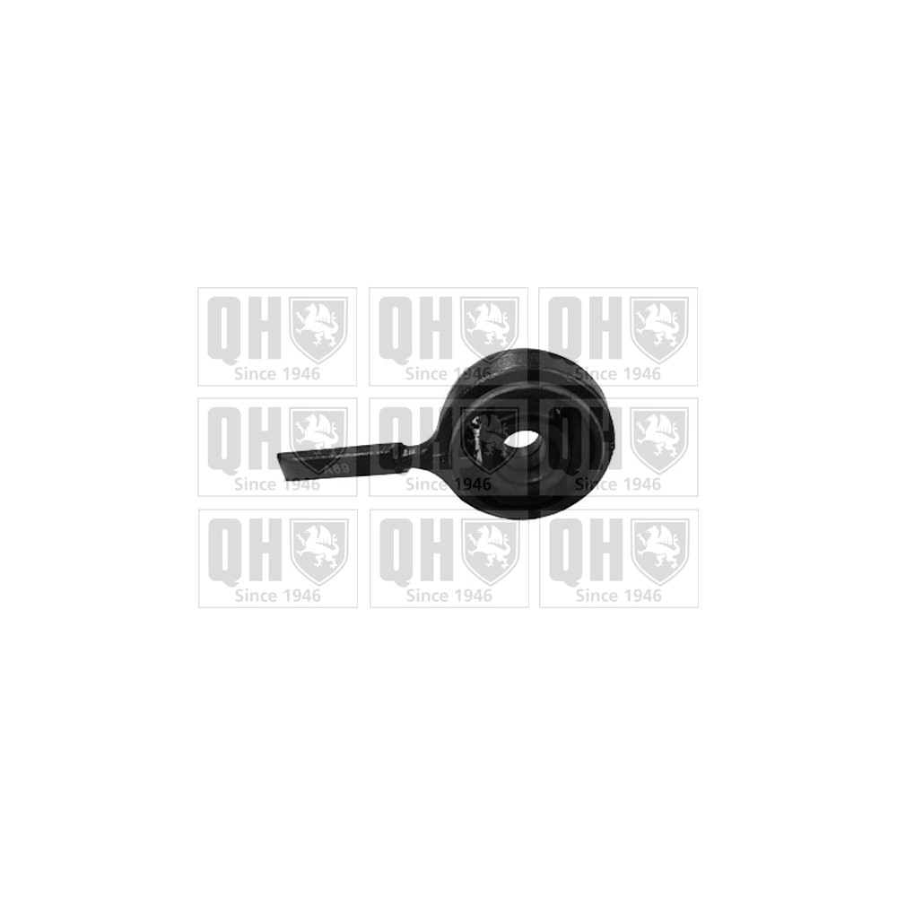 Image for QH EMS8312 Suspension Arm Bush - Front Lower RH (Rear)