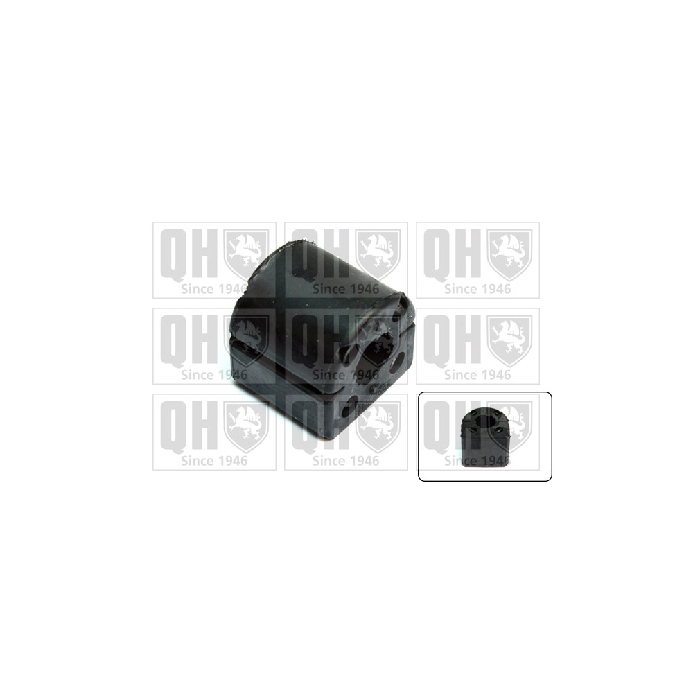 Image for QH EMB7320 Stabiliser Bar Bush