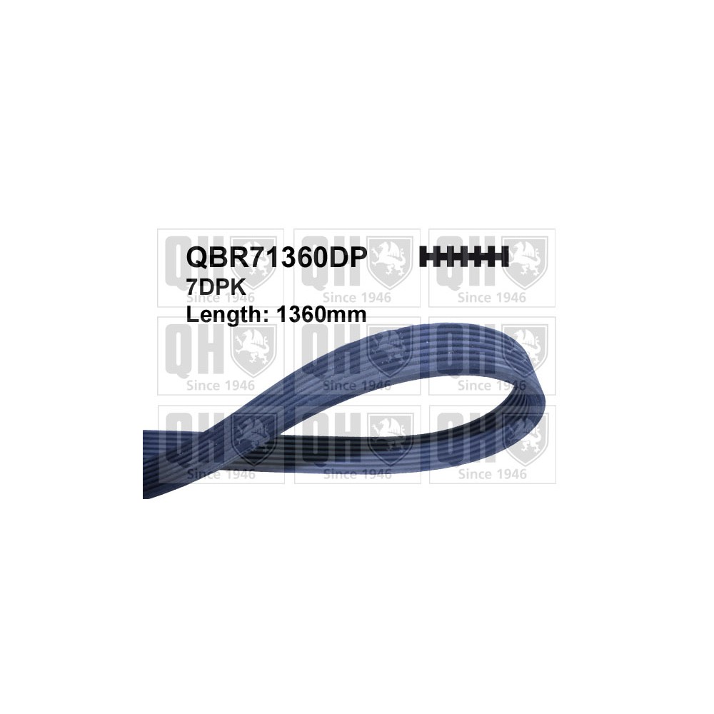 Image for QH QBR71360DP MULTI-RIBBED BELT