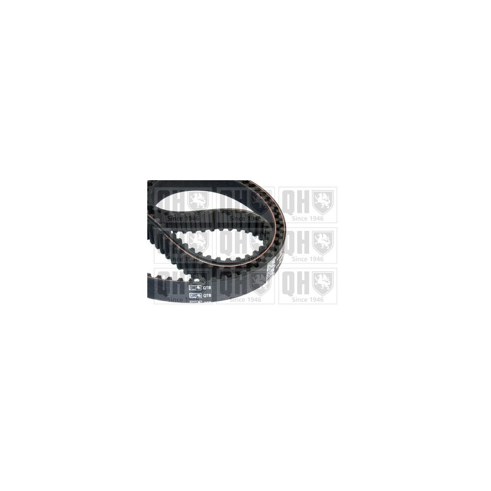 Image for QH QTB202 Timing Belt