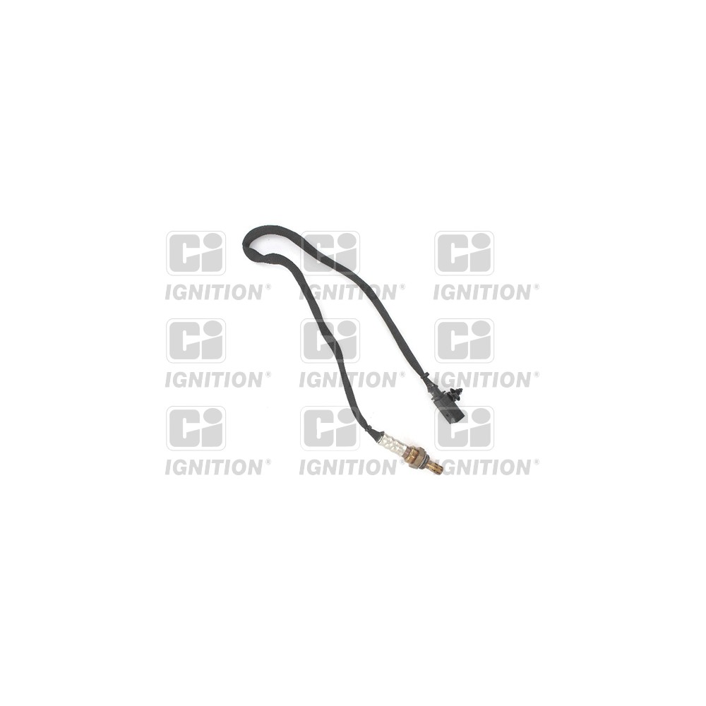 Image for Oxygen Sensor