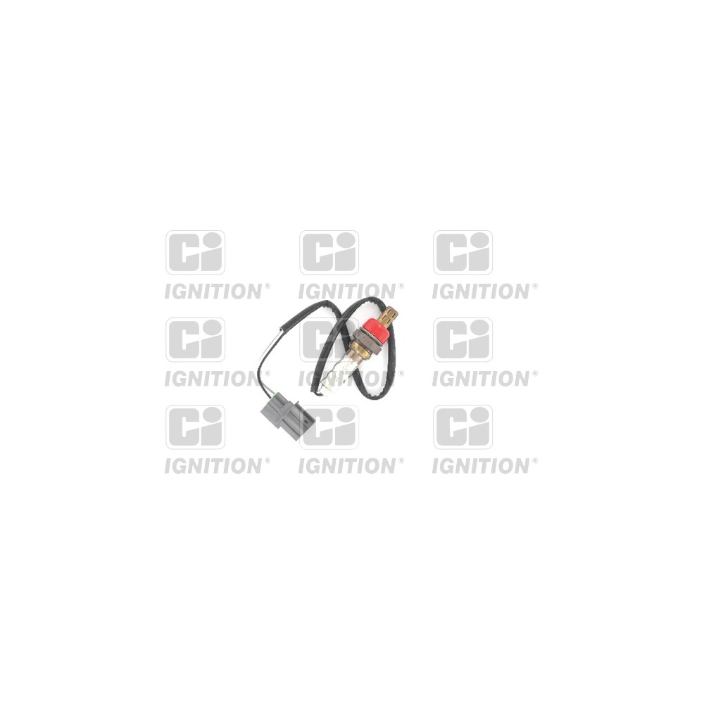 Image for Oxygen Sensor