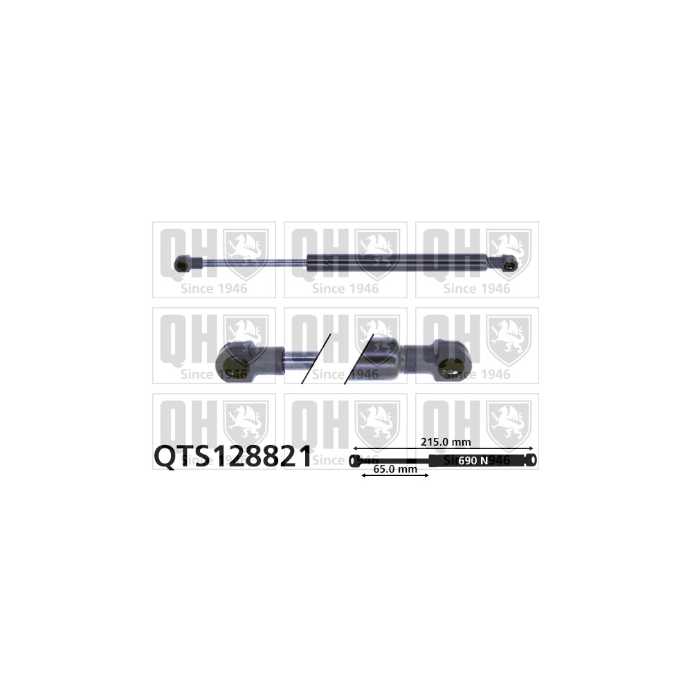 Image for QH QTS128821 Gas Spring