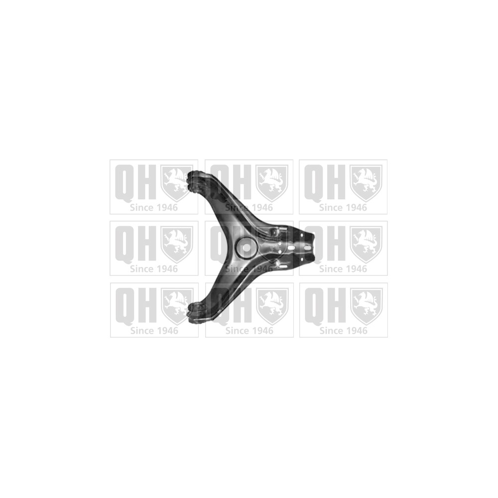 Image for QH QSA1675S Suspension Arm - Front Lower LH & RH