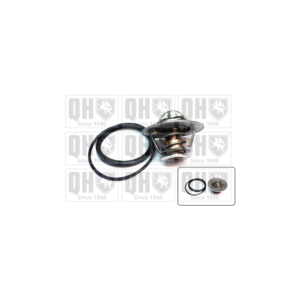 Image for QH QTH484K Thermostat Kit