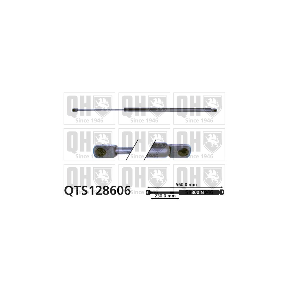 Image for QH QTS128606 Gas Spring