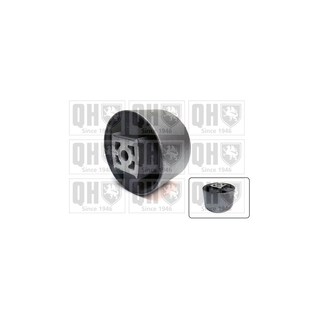 Image for QH EM4749 Engine Mounting