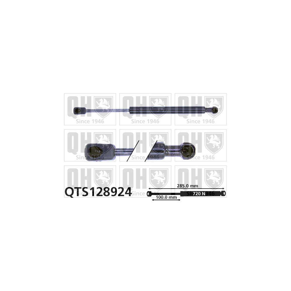 Image for QH QTS128924 Gas Spring