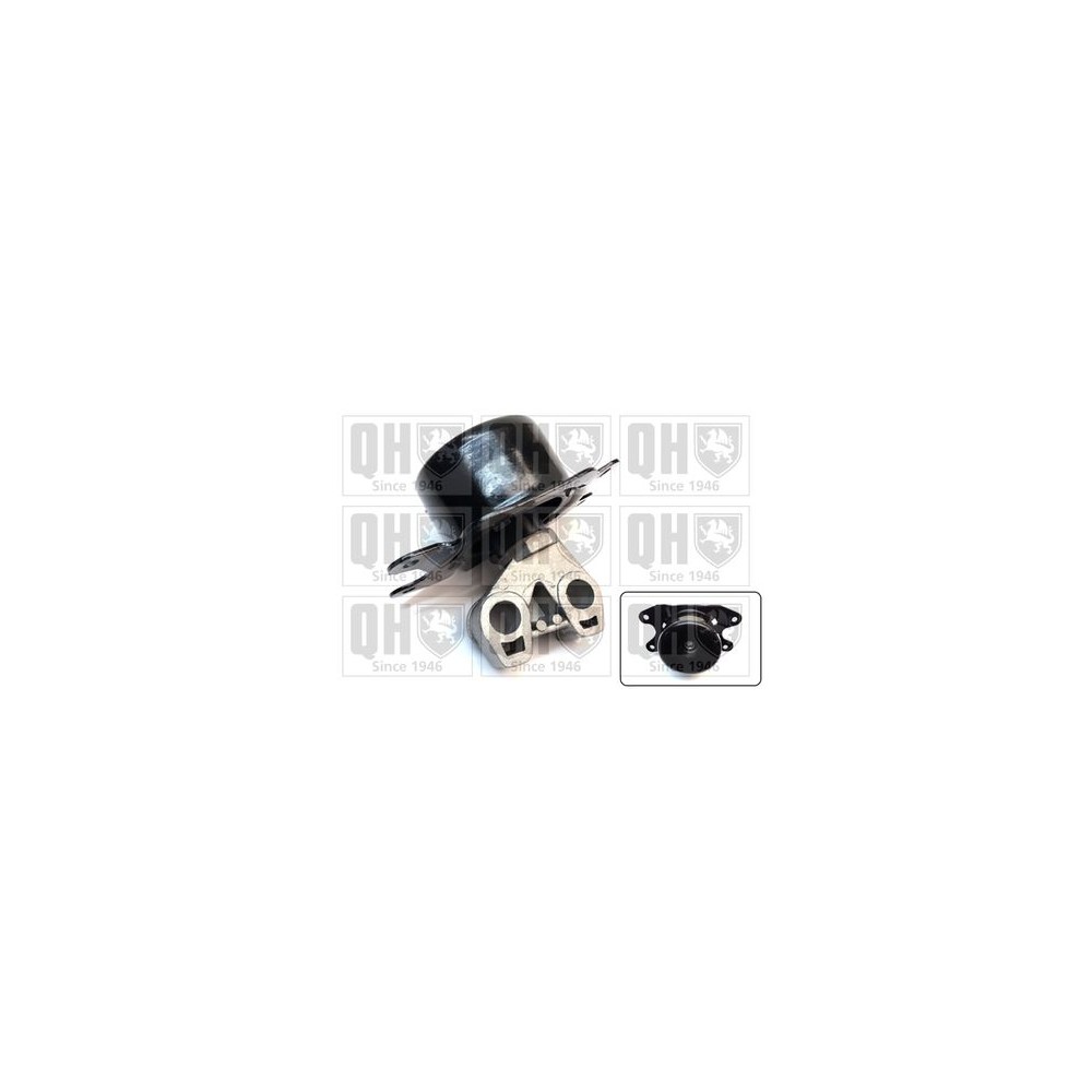 Image for QH EM4856 Engine Mounting