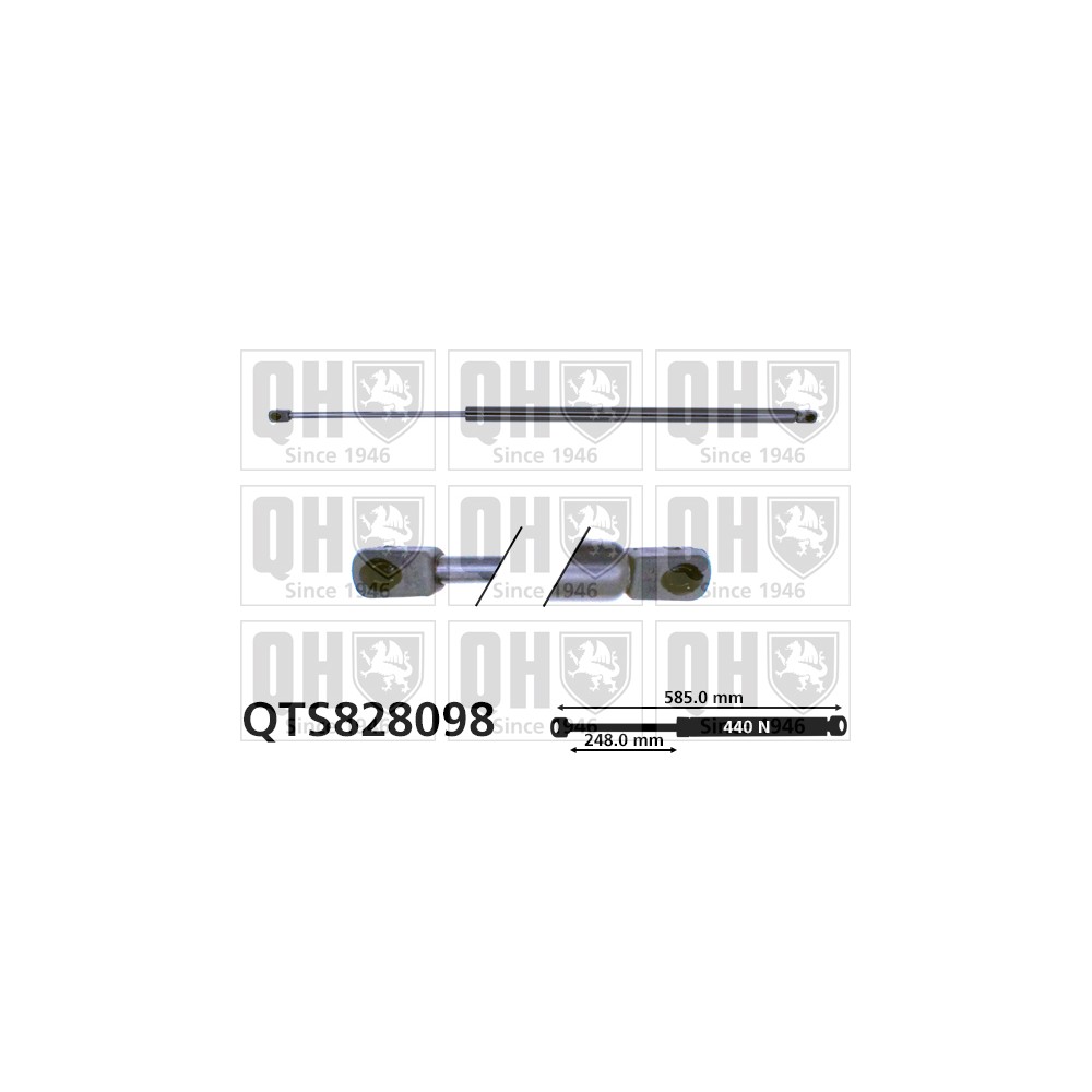 Image for QH QTS828098 Gas Spring