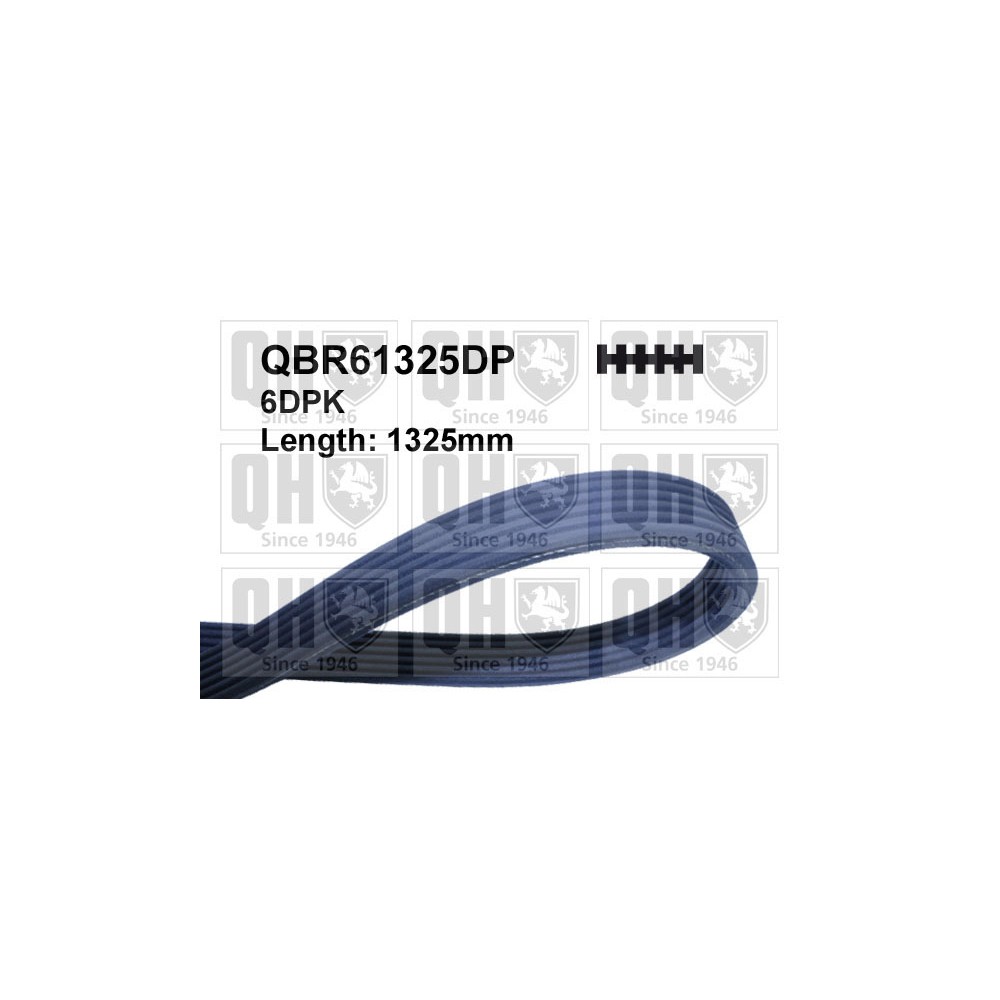 Image for QH QBR61325DP Drive Belt