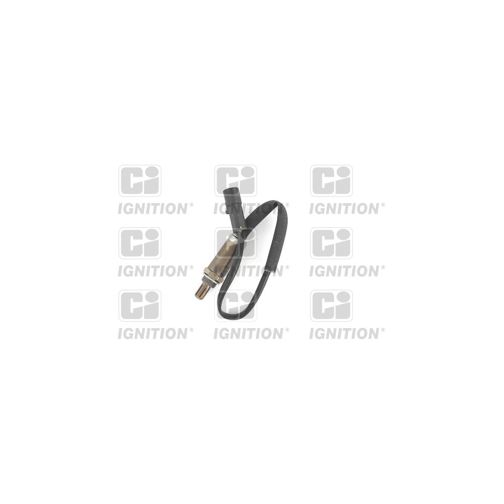 Image for Oxygen Sensor