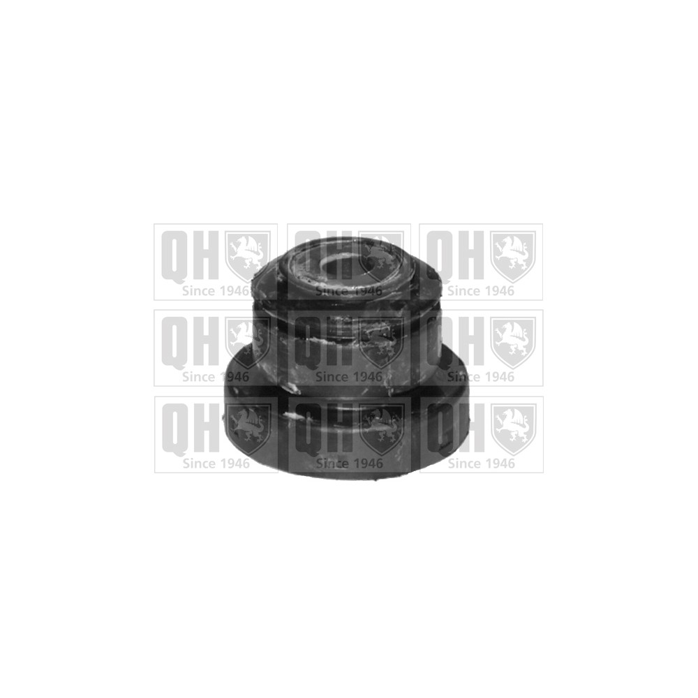 Image for QH EMS8129 Suspension Arm Bush - Front Upper LH & RH