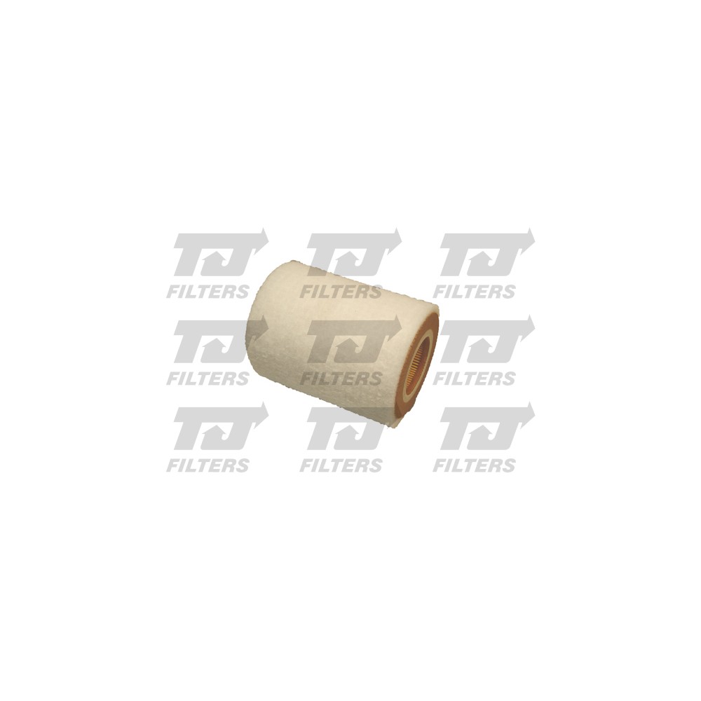 Image for TJ QFA0266 Air Filter