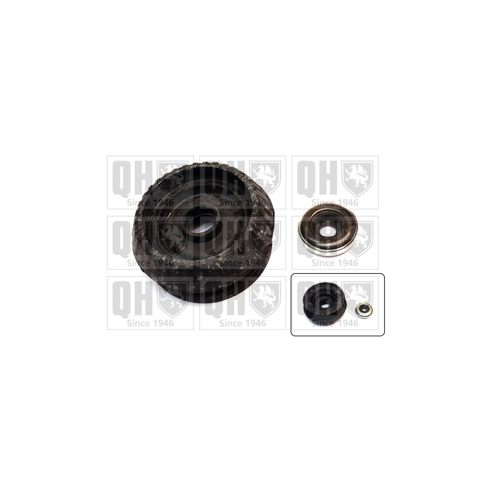 Image for QH EMA6006 Top Strut Mounting - Front inc.Bearing LH & RH