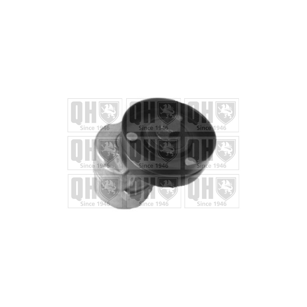 Image for QH QTA1344 DRIVE BELT TENSIONER