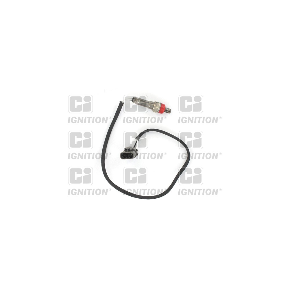 Image for Oxygen Sensor