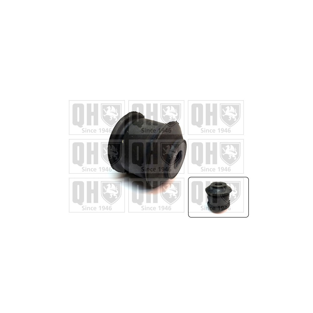 Image for QH EMS8666 Suspension Arm Bush - Front Lower LH & RH (Front)