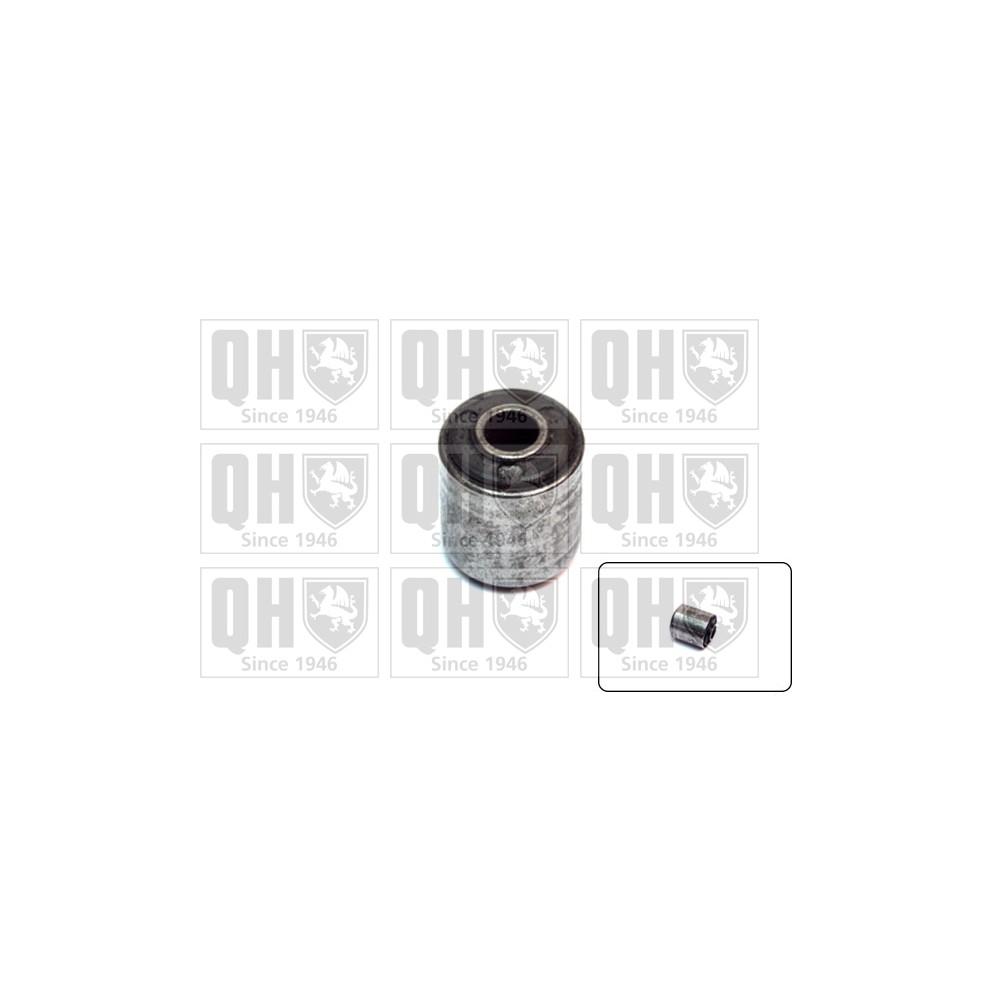 Image for QH EMS2183 Suspension Arm Bush - Front Lower LH & RH (Inner)