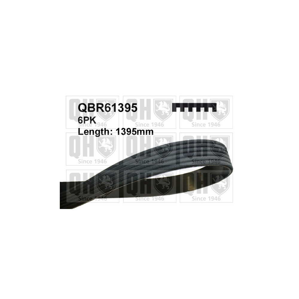 Image for QH QBR61395 MULTI-RIBBED BELT