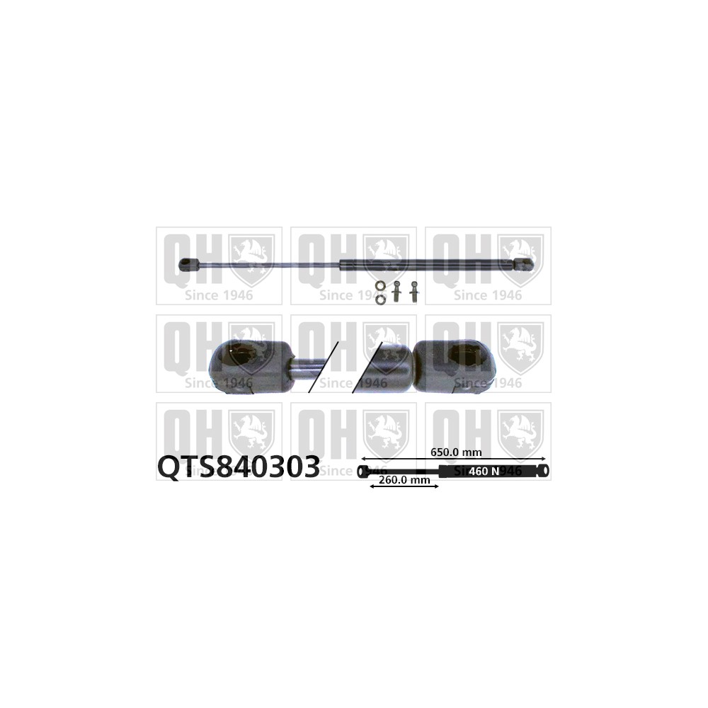 Image for QH QTS840303 Gas Spring