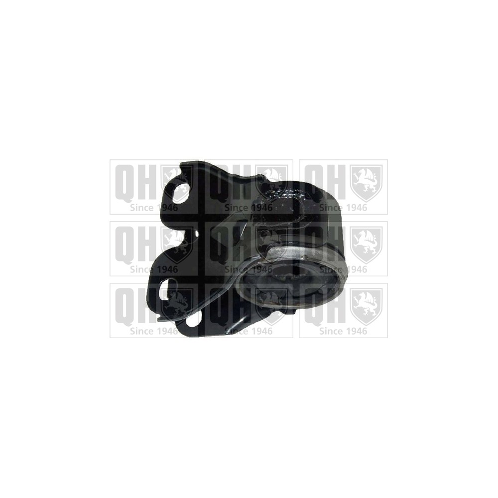 Image for QH EMS8446 Suspension Arm Bush - Front Lower RH (Rear)