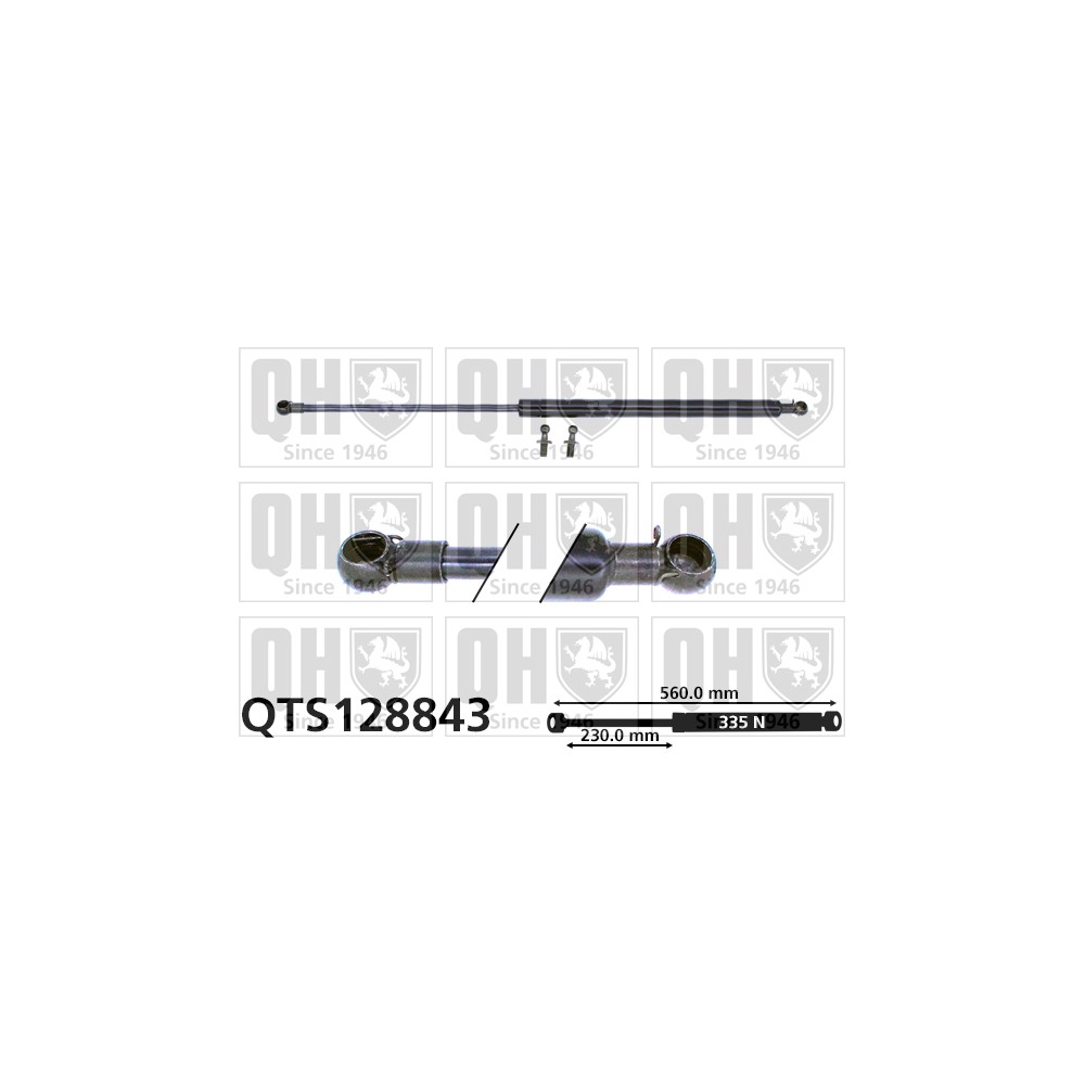 Image for QH QTS128843 Gas Spring