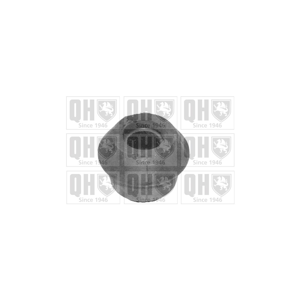 Image for QH EMS8286 Suspension Arm Bush - Front Lower LH & RH (Outer)