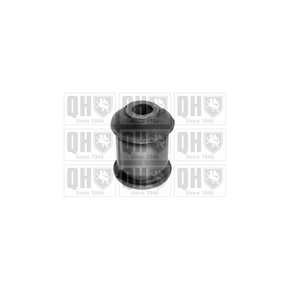 Image for QH EMS8454 Suspension Arm Bush - Front Lower LH & RH (Front)