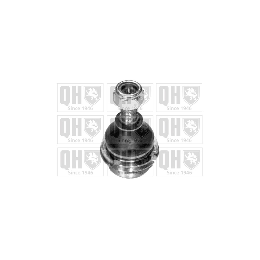 Image for QH QSJ263S Ball Joint - Front Lower LH & RH