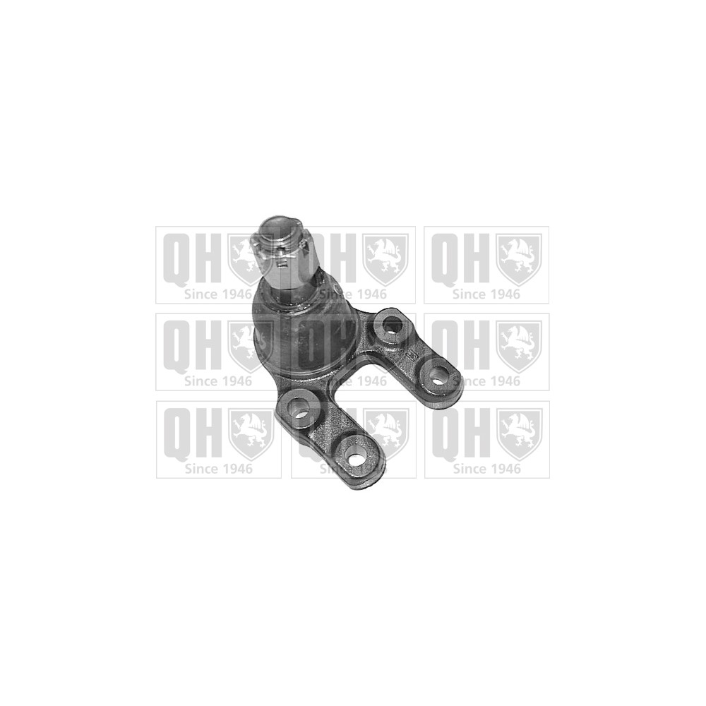 Image for QH QSJ1878S Ball Joint - Front Lower LH & RH