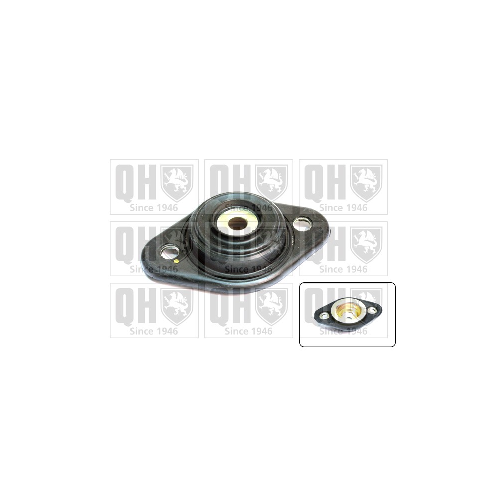 Image for QH EMR6001 Top Strut Mounting - Rear exc.Bearing LH & RH