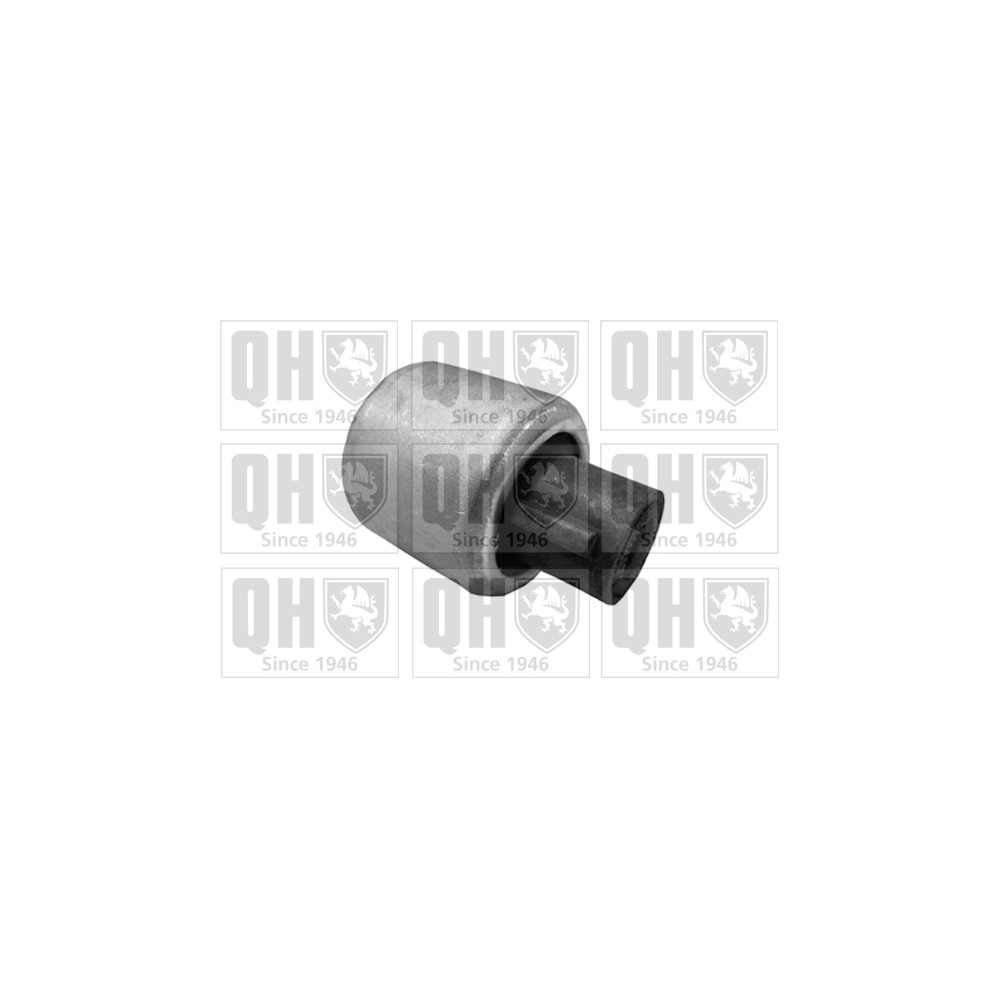 Image for QH EMS8345 Suspension Arm Bush - Front Lower LH & RH (Rear)