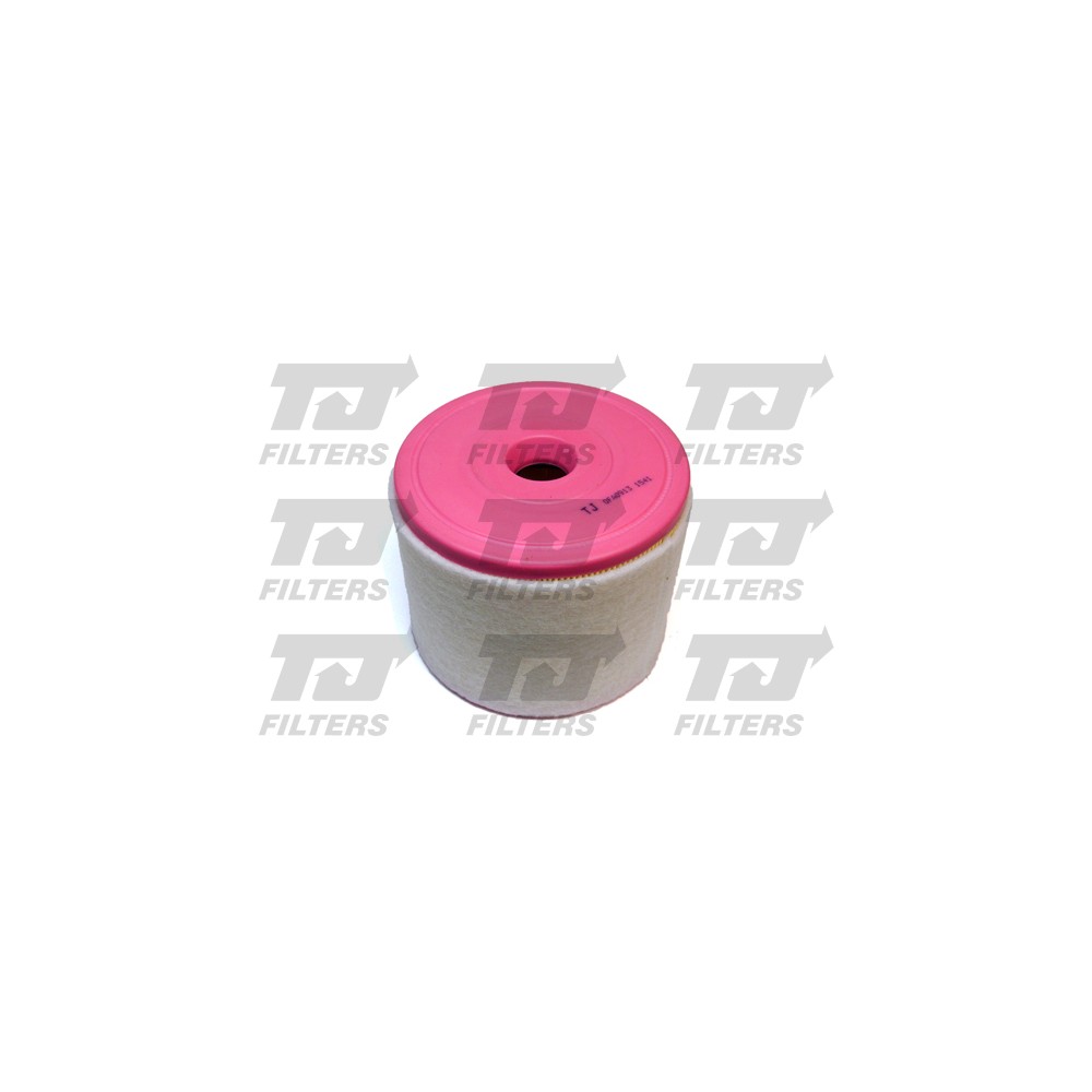 Image for TJ QFA0913 Air Filter