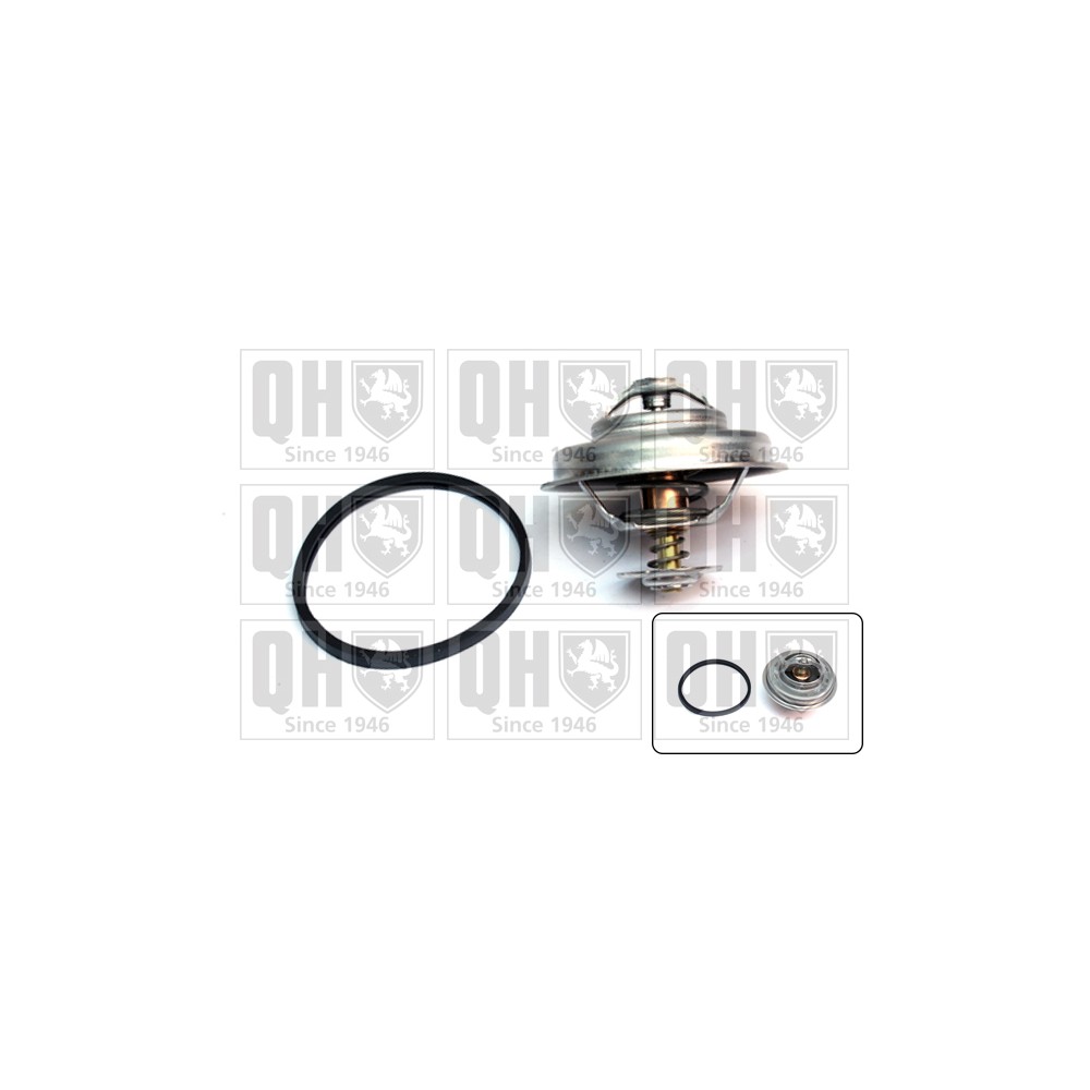 Image for QH QTH394K Thermostat Kit