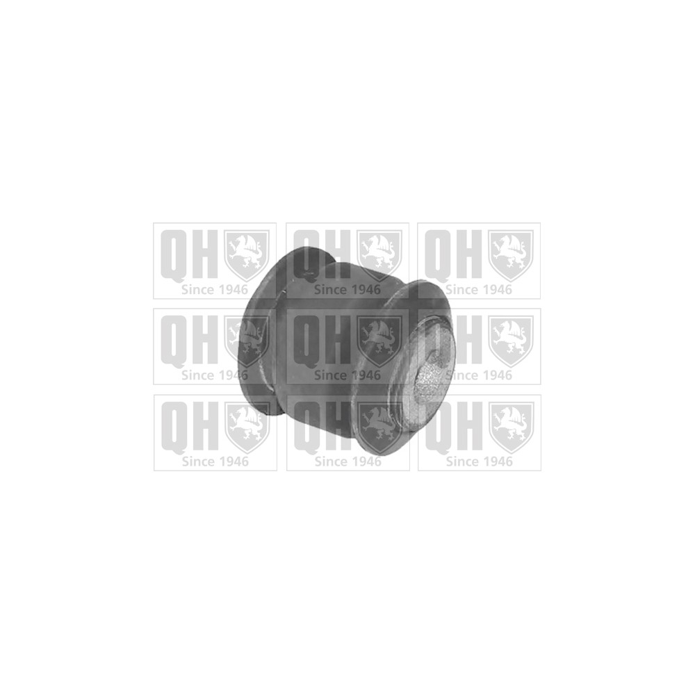 Image for QH EMS8443 Suspension Arm Bush - Front Lower LH & RH (Front)