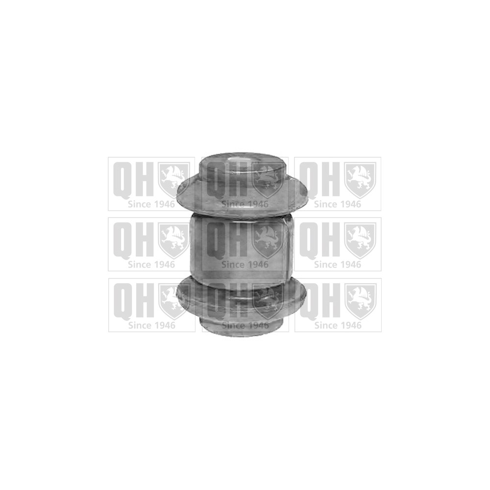 Image for QH EMS8209 Suspension Arm Bush - Front Lower LH & RH (Front)